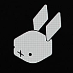 r1 by rabbit