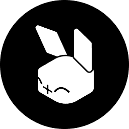 Rabbit r1