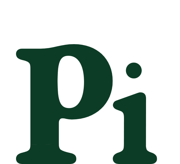 Pi AI